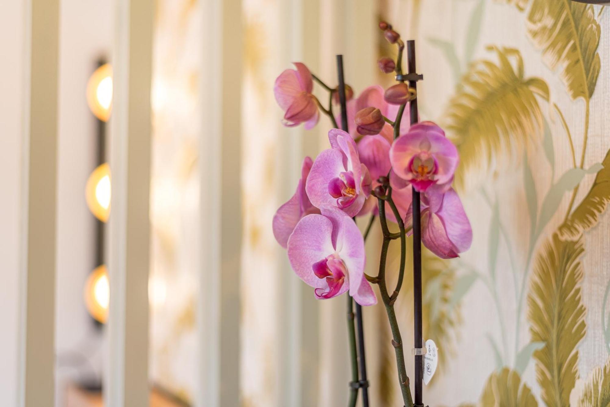 Urban Luxe Studio Torremoilinos Torremolinos Eksteriør billede